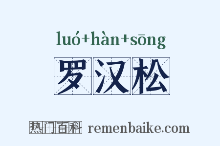罗汉松是什么意思的图片